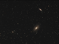 M81 Group